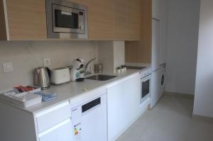 Kuchyňa alebo kuchynka v ubytovaní Apartamentos Sudestada