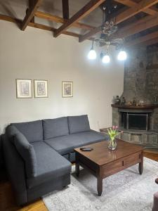 sala de estar con sofá y mesa de centro en Urban River House, en Florina