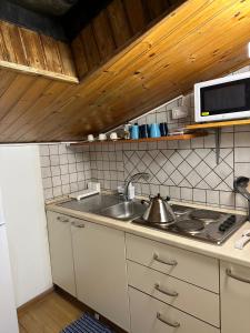 uma cozinha com um lavatório e um micro-ondas em La mansarda di melo em Catânia
