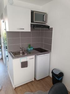 een kleine keuken met een wastafel en een magnetron bij Studio proche du CHU in Nîmes