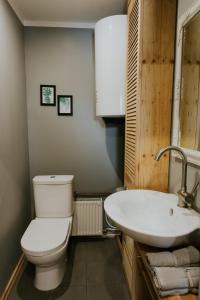 a bathroom with a toilet and a sink at Sauna apartment / Pirts apartamenti in Talsi