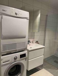 y baño con lavadora y lavamanos. en Leilighet i Tromsø, en Tromsø