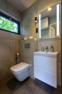 a bathroom with a toilet and a sink and a mirror at Treehouse Karpacz in Karpacz