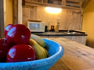 Kuchyň nebo kuchyňský kout v ubytování Kabana - eco forest suite