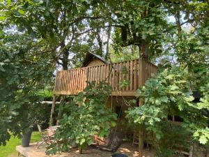 Zahrada ubytování Kabana - eco forest suite