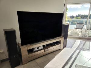 een flatscreen-tv op een stand in een woonkamer bij Bel Appartement avec Terrasse et Clim in Montpellier