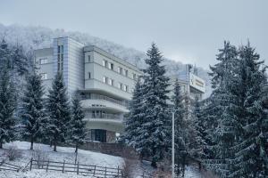 un bâtiment avec des arbres enneigés devant lui dans l'établissement Balvanyos Resort (Grand Hotel Balvanyos), à Bálványos