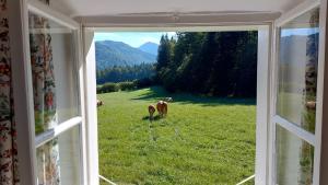 O vedere generală la munți sau o vedere la munte luată de la această casă de vacanță