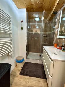 a bathroom with a shower and a sink at Chalet La Léchère in Valmeinier