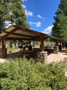 MountainaireにあるSki+Golf+Fishing Flagstaff Kachina Cabin!の公園内のピクニックテーブル付き避難所
