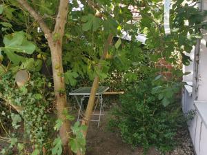 um jardim com uma mesa e uma árvore em Haus am Hafen em Neustadt in Holstein