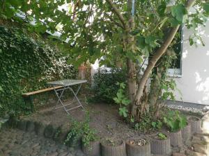 uma mesa de piquenique debaixo de uma árvore ao lado de um edifício em Haus am Hafen em Neustadt in Holstein