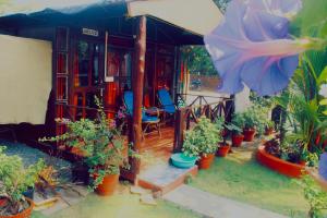 a house with a bunch of potted plants at Salida del Sol Patnem in Patnem