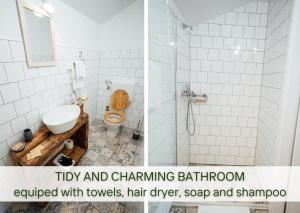 2 immagini di un bagno con servizi igienici e doccia di Guesthouse Kamniti Rob a Črni Kal