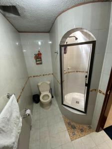 La salle de bains est pourvue de toilettes, d'une douche et d'un miroir. dans l'établissement ERY total confort Pasto apto, à Pasto