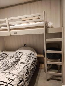 een slaapkamer met 2 stapelbedden en een ladder bij Nature Holiday's Domaine L'OREE d'ARZAL in Arzal