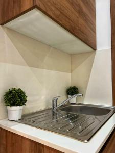 - un évier de cuisine avec 2 plantes en pot sur un comptoir dans l'établissement Heart of Valletta - Apartment, à La Valette