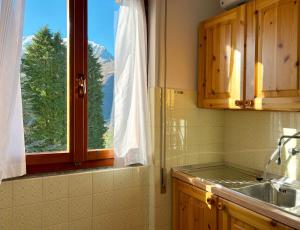 cocina con fregadero y ventana en Bellavista - Residence in Barzio center near free ski shuttle, en Barzio