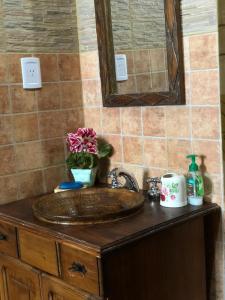 a bathroom counter with a sink and a mirror at Tu rincón en la montaña in El Mollar