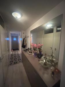 Koupelna v ubytování Кондоминиум в Zwijndrecht