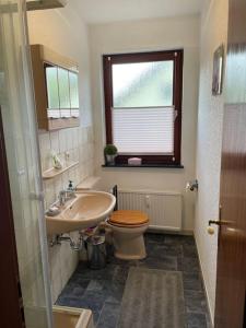 a bathroom with a sink and a toilet and a window at Henriette in Walkenried +22 photos