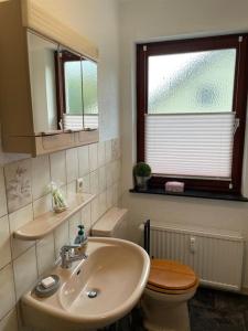 a bathroom with a sink and a toilet and a window at Henriette 1 in Walkenried