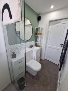 a bathroom with a toilet and a sink and a mirror at Koselig Properties in Lerwick