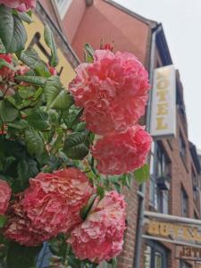 un mazzo di fiori rosa di fronte a un edificio di Hotel Deichvoigt a Cuxhaven