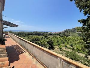 una vista dal balcone di una casa che guarda un campo di Tenuta baronale jò - sant'elia 1 a Palizzi Marina