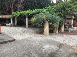 un giardino con piante in vaso in un cortile di Tenuta baronale jò - sant'elia 1 a Palizzi Marina
