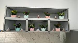 Foto sihtkohas Tanger asuva majutusasutuse Tangier city center 2 galeriist