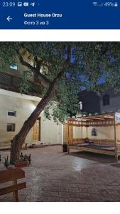 a tree in front of a building with a bench at Guest House Orzu in Khiva