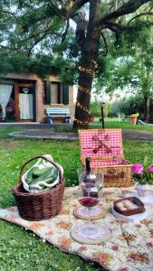 a picnic table with a basket and a bottle of wine at Agriturismo Fondo Novelle La Casina in Ferrara