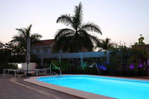 a swimming pool in front of a house with a palm tree at Jungle Paradise in La Orotava