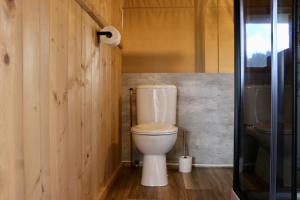 a bathroom with a toilet and a sink at Camping De Heerlijkheid Vorenseinde in Rucphen