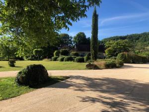 a driveway with a tree and a house in the background at Le Domaine des Crouquets in Jayac