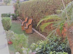 En hage utenfor Hotel Karni Niwas