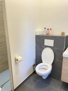 a bathroom with a white toilet and a shower at Chambre tropicale privée au coeur d'un village calme et proche du vignoble in Vinzelles +10 photos