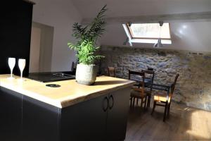 a plant sitting on top of a kitchen counter at Pause-toit, Le gîte de Mozet. in Gesves
