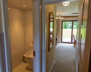 een badkamer met een toilet, een wastafel en een spiegel bij Scandinavian Village Ltd in Aviemore