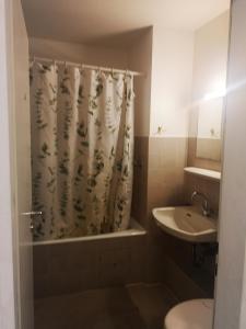 łazienka z zasłoną prysznicową i umywalką w obiekcie Appartement am Uni Park Köln Sülz w Kolonii