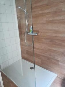 a shower with a glass door in a bathroom at Meerblickvilla Prinz Heinrich - Ferienwohnung 4 in Sassnitz