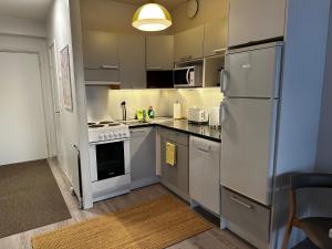 Kuchyň nebo kuchyňský kout v ubytování The Urban Loft