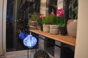 een plank met potplanten en een ornament erop bij Apartman 23 in Kanarevo Brdo