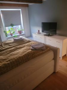 a bedroom with a bed and a flat screen tv at Ferienwohnung am neuen Teich in Lübz