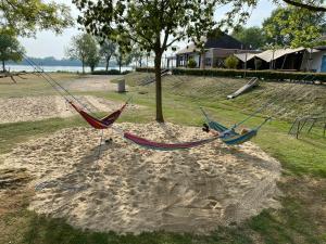 two hammocks in the sand next to a tree at Recreatiepark Riverside in Appeltern