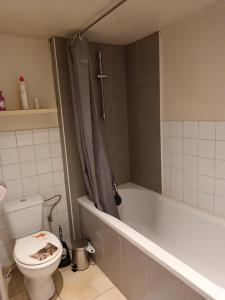La salle de bains est pourvue de toilettes et d'une baignoire avec rideau de douche. dans l'établissement Le cocon, à Gochenée