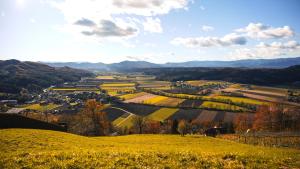 Paesaggio naturale nelle vicinanze della casa vacanze
