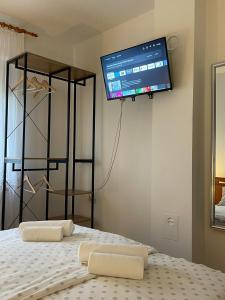 um quarto com uma cama com duas almofadas e uma televisão na parede em Kuća za odmor Saturnus em Karanac