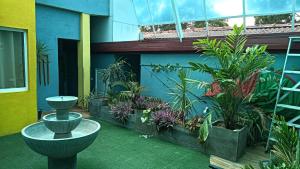 un edificio con un patio con plantas y una fuente en This Is It Airport Hotel and Restaurant en Negombo